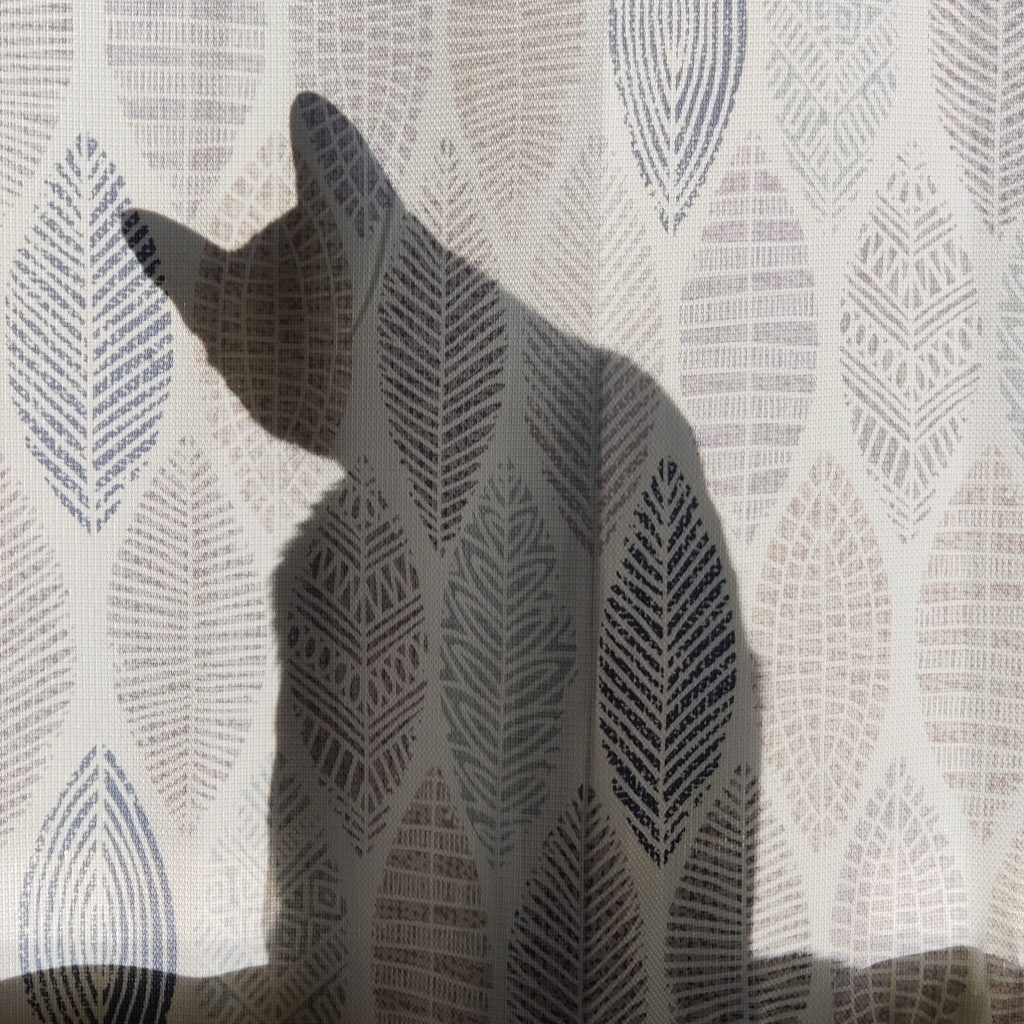 NIkita Cat Shadow